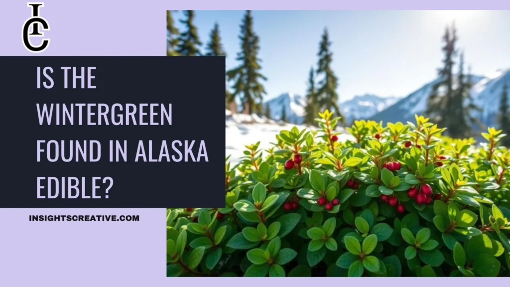 Is the Wintergreen Found in Alaska Edible