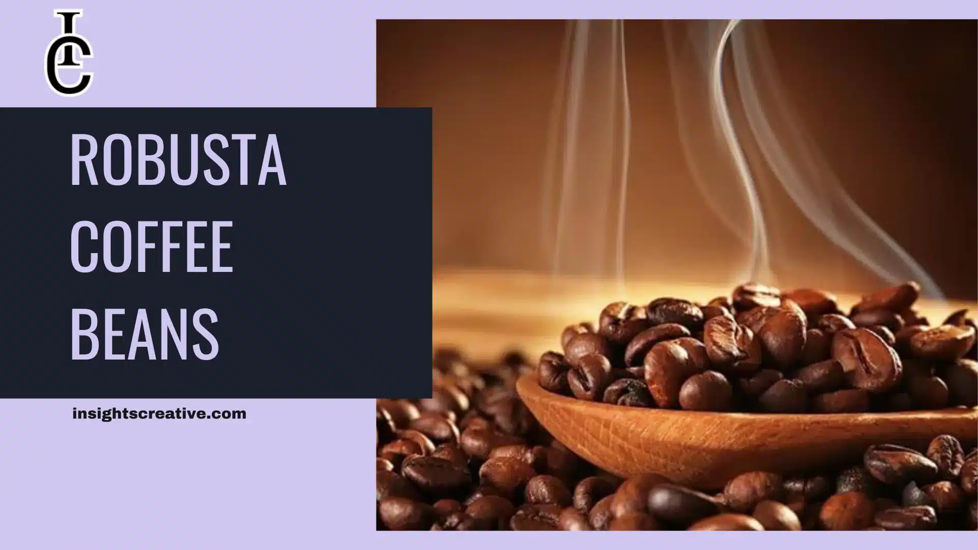 Robusta Coffee Beans