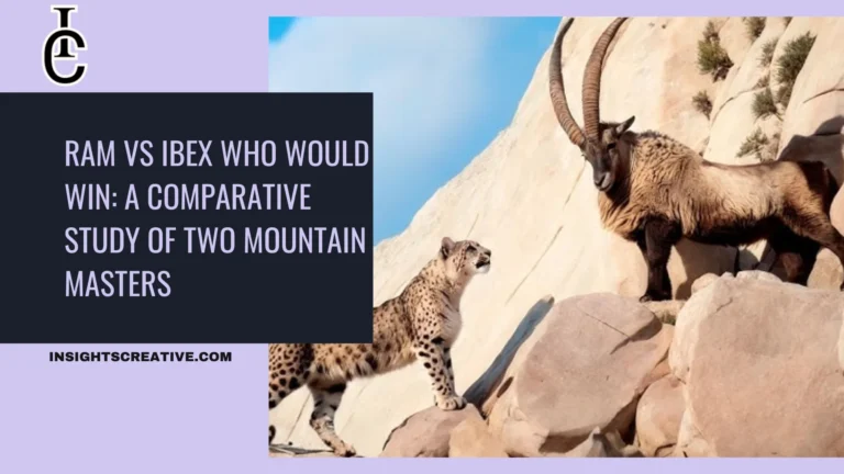 Ram vs Ibex Who Would Win A Comparative Study of Two Mountain Masters