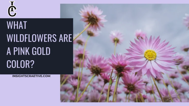 What Wildflowers Are a Pink Gold Color An Ecological Journey