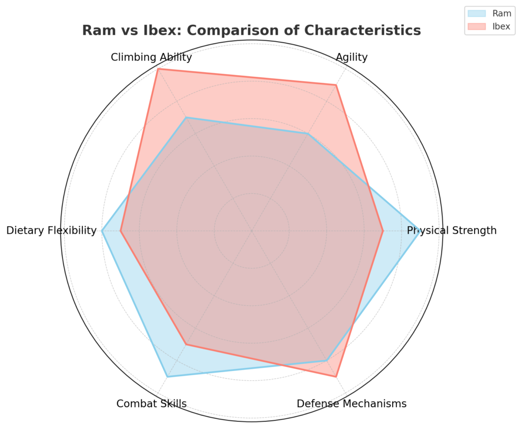 Ram vs Ibex Who Would Win